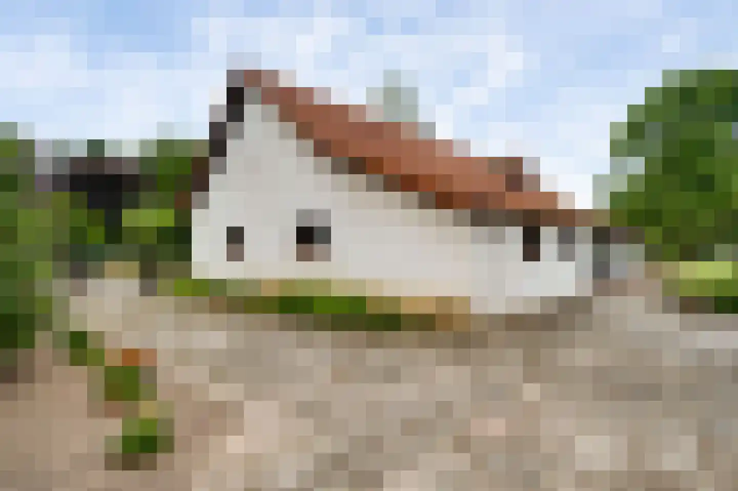 Overhaelen 6 Haelen thumbnail 36