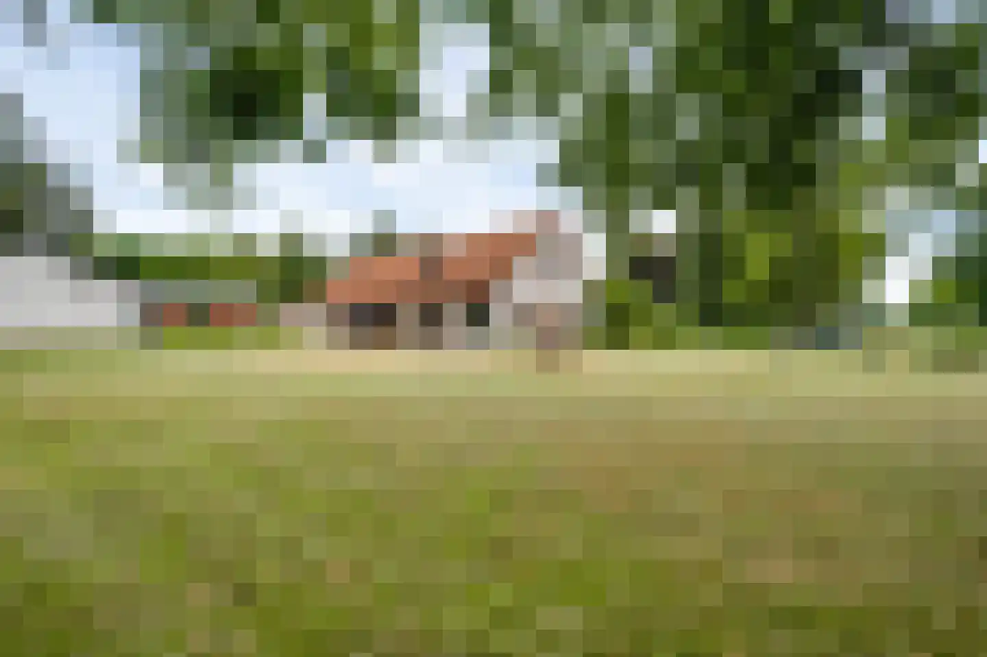Overhaelen 6 Haelen thumbnail 42