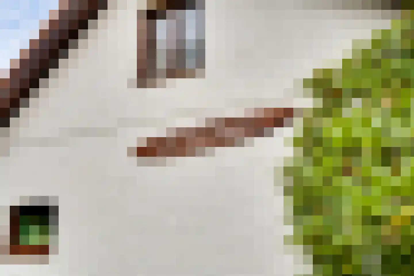Overhaelen 6 Haelen thumbnail 43
