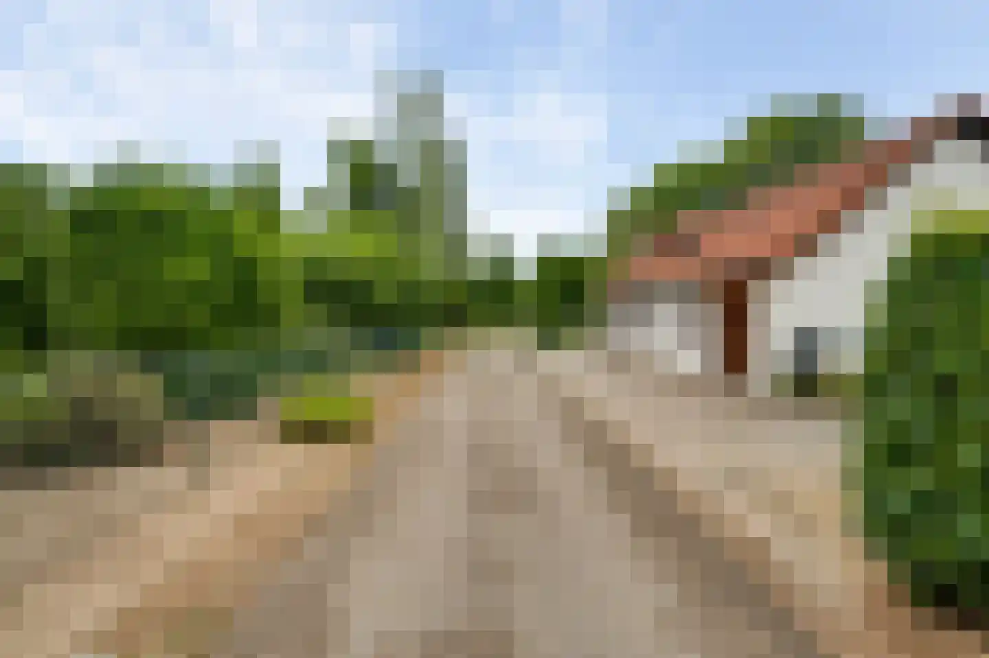 Overhaelen 6 Haelen thumbnail 51