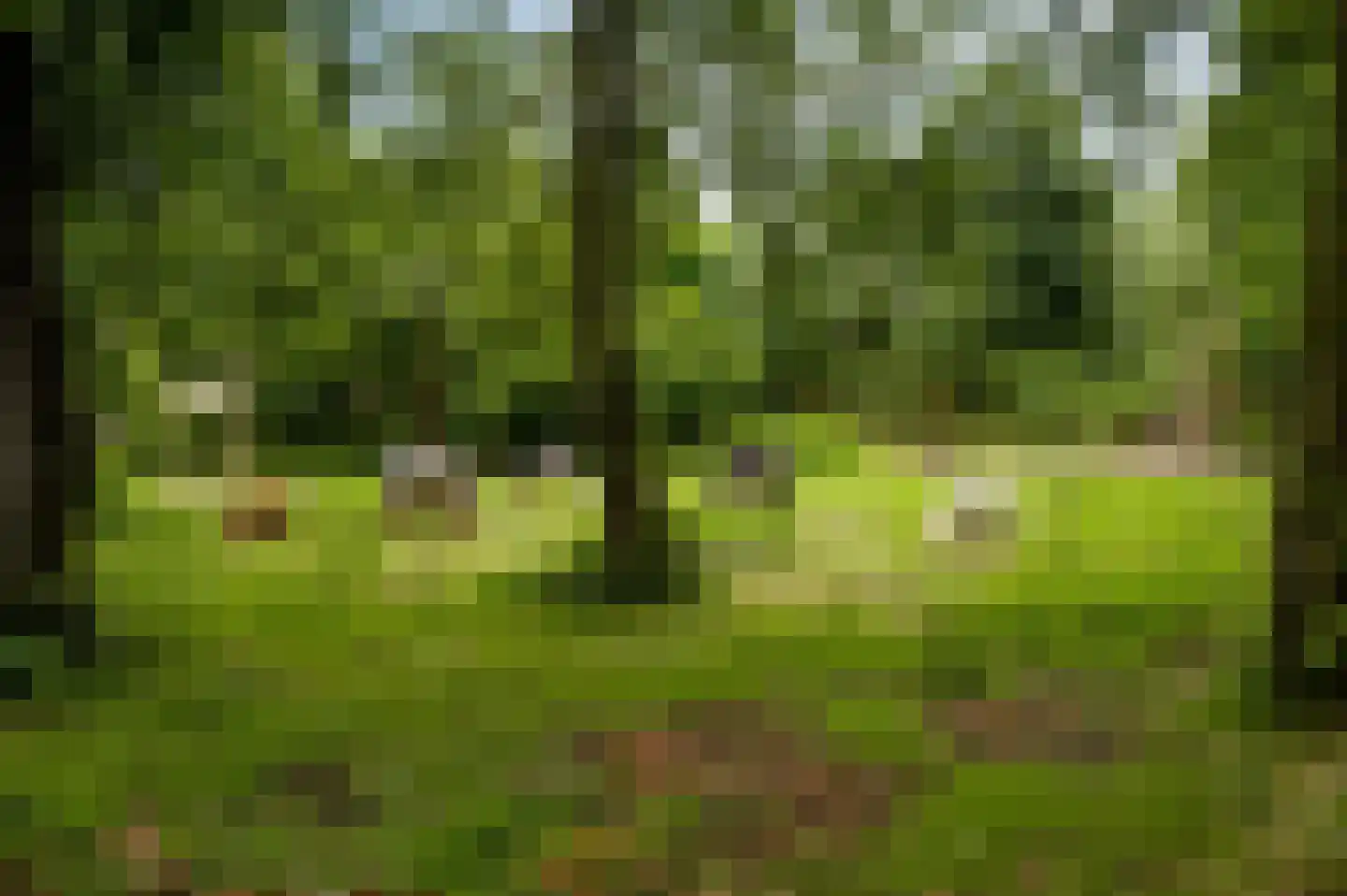 Overhaelen 6 Haelen thumbnail 52