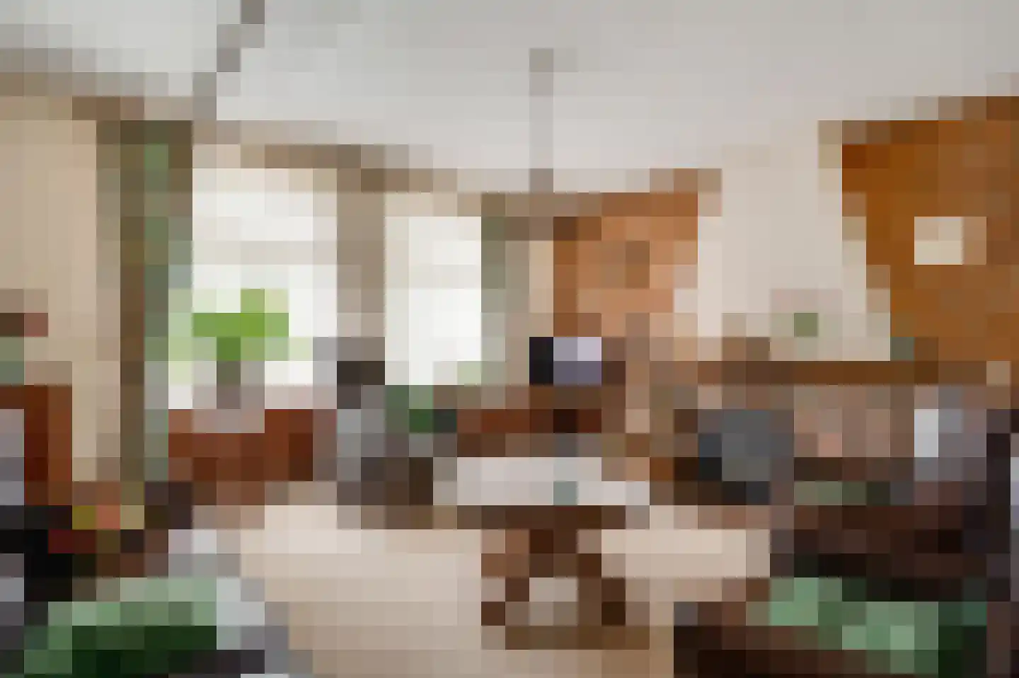 Overhaelen 6 Haelen thumbnail 6
