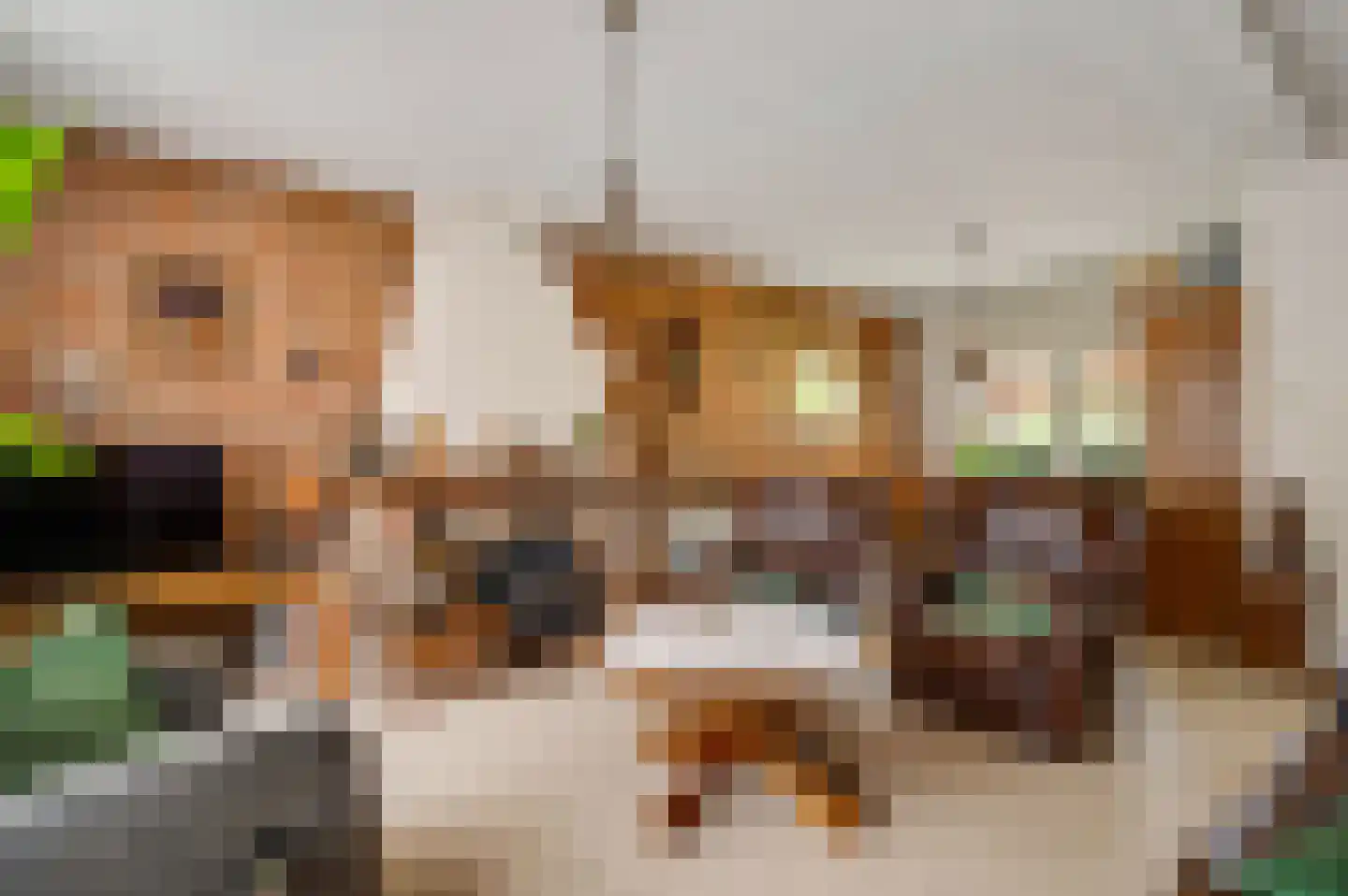 Overhaelen 6 Haelen thumbnail 7