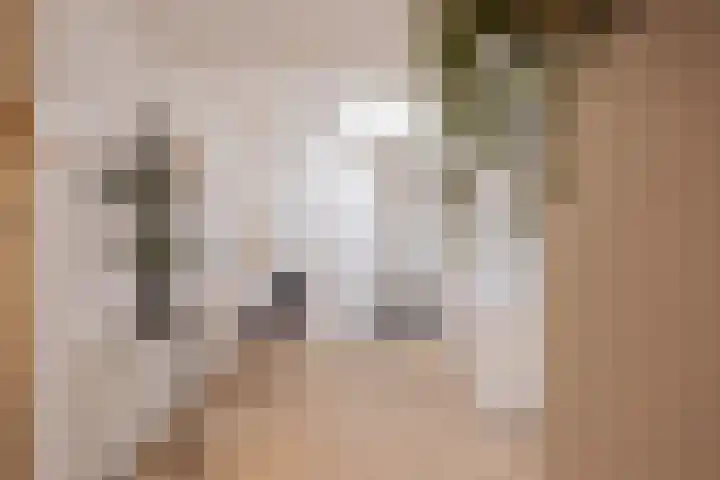 Overhagenseweg 4 c Velp thumbnail 16
