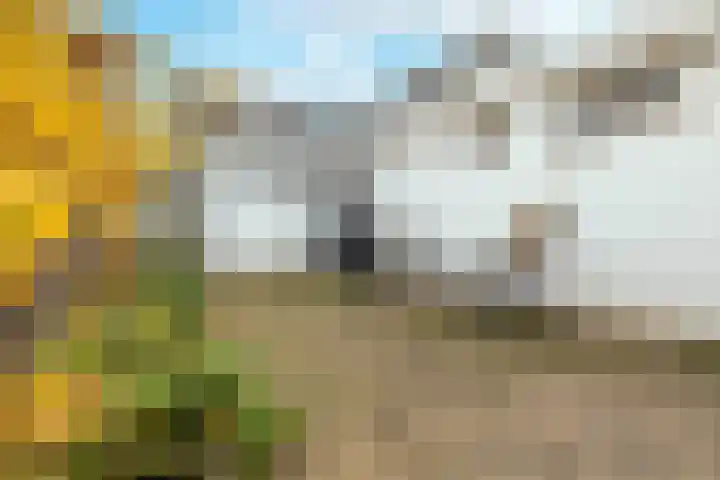 Overhagenseweg 4 c Velp thumbnail 4