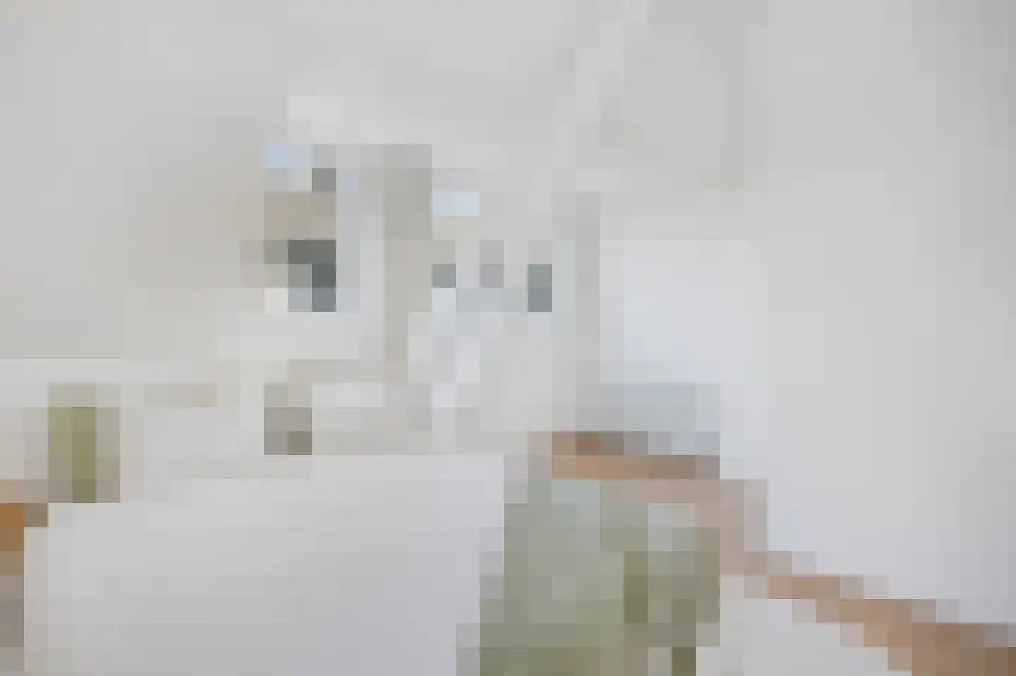 Overhagenseweg 45 Velp thumbnail 14