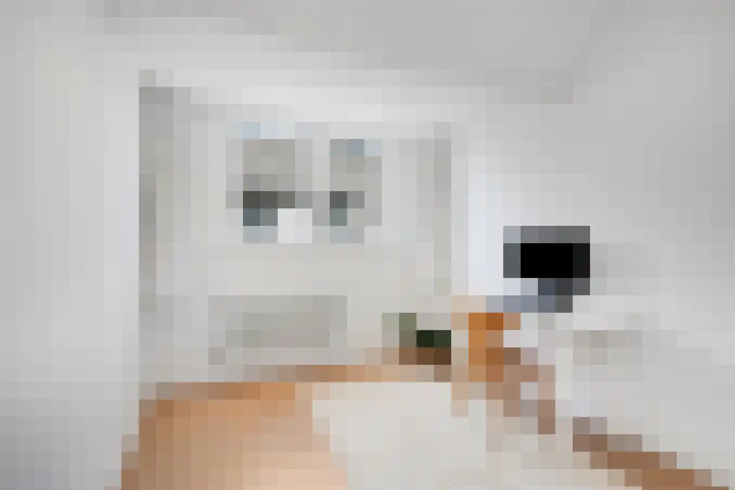 Overhagenseweg 45 Velp thumbnail 15