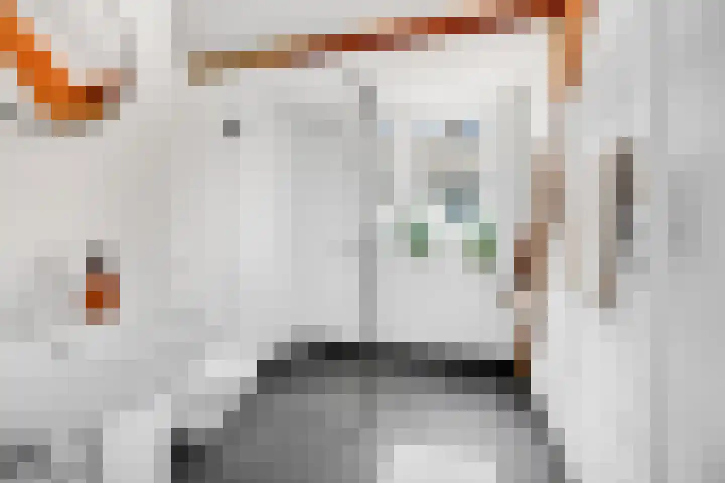 Overhagenseweg 45 Velp thumbnail 16