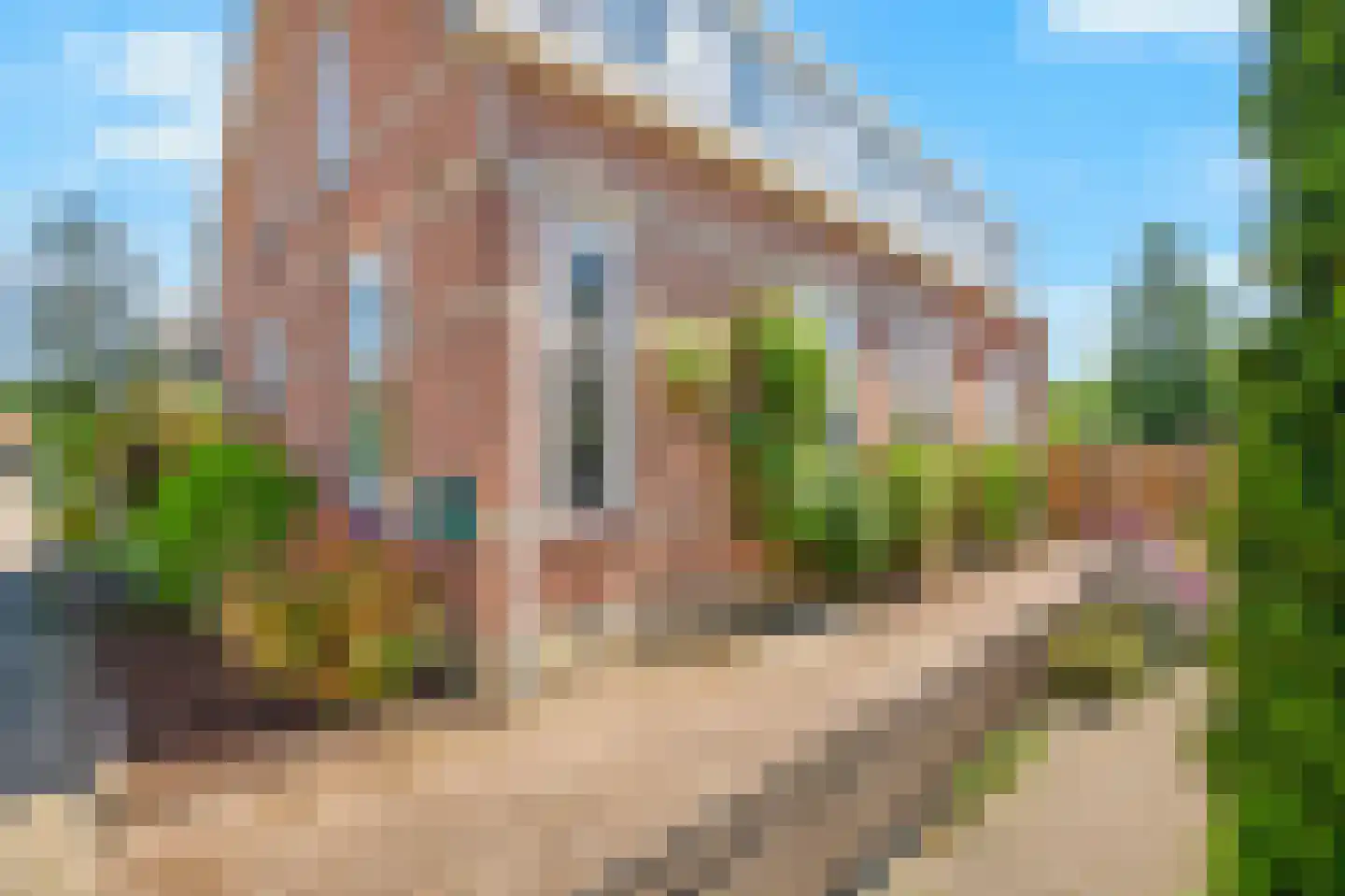 Overhagenseweg 45 Velp thumbnail 23