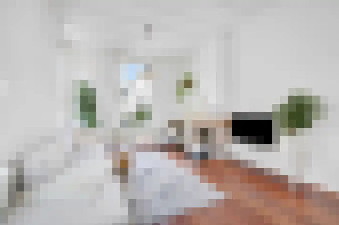 Overhagenseweg 45 Velp thumbnail 4
