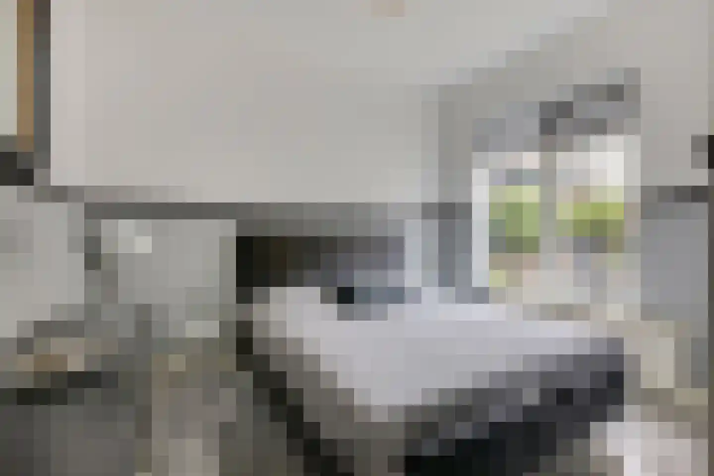Overhagenseweg 46 Velp thumbnail 13