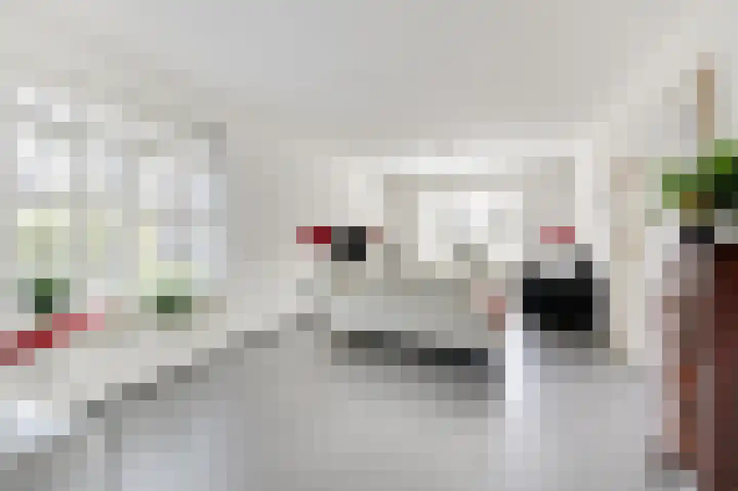 Overhagenseweg 46 Velp thumbnail 4
