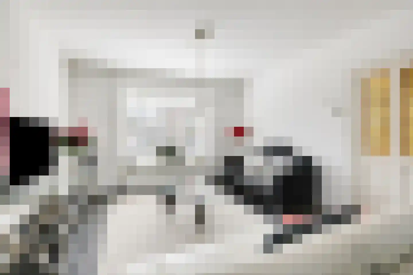 Overhagenseweg 46 Velp thumbnail 5