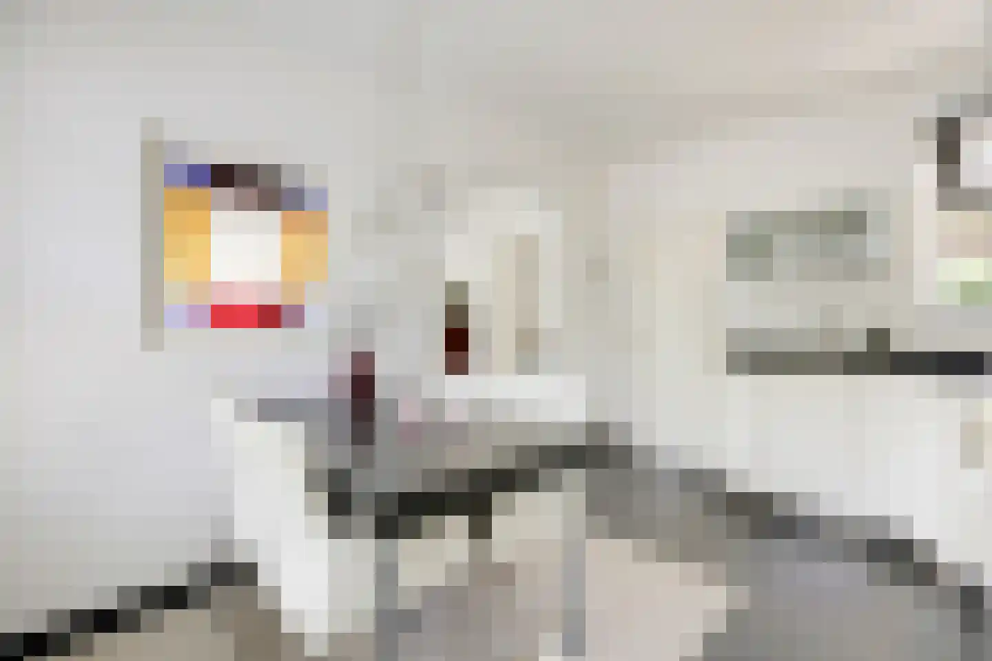 Overhagenseweg 46 Velp thumbnail 9