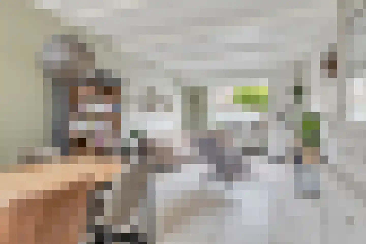 Overhandstraat 5 Pernis Rotterdam thumbnail 11