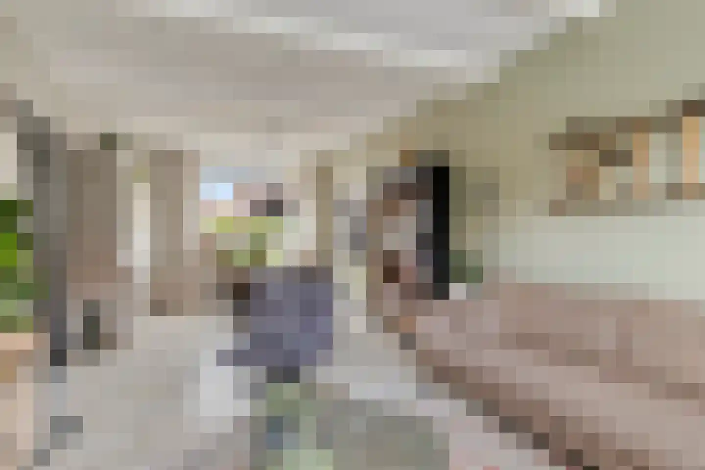 Overhandstraat 5 Pernis Rotterdam thumbnail 14