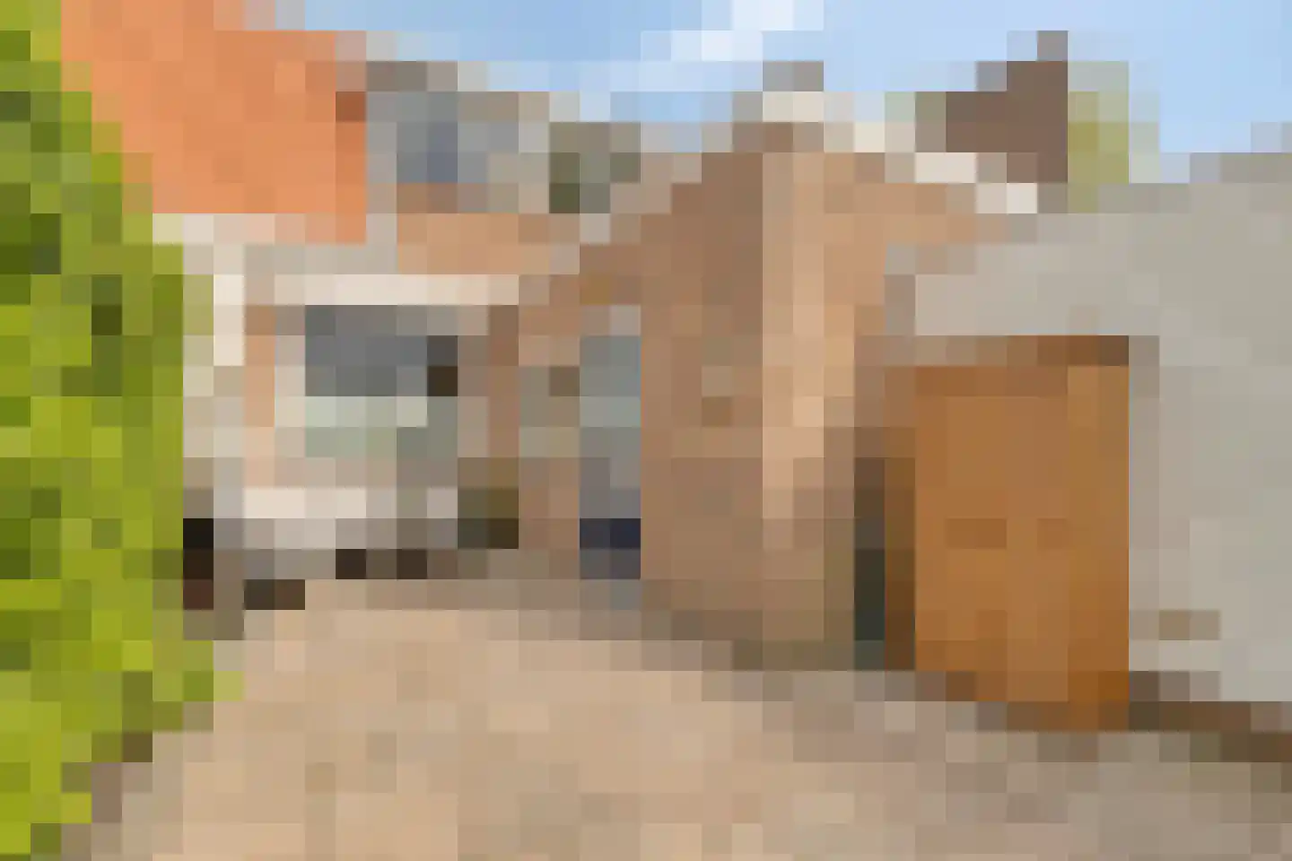 Overhandstraat 5 Pernis Rotterdam thumbnail 32