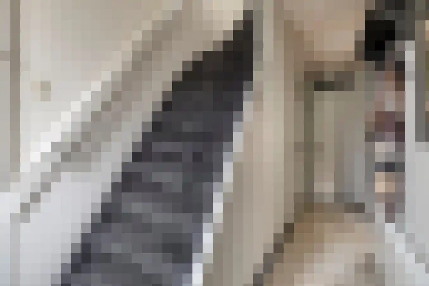 Overhandstraat 5 Pernis Rotterdam thumbnail 8