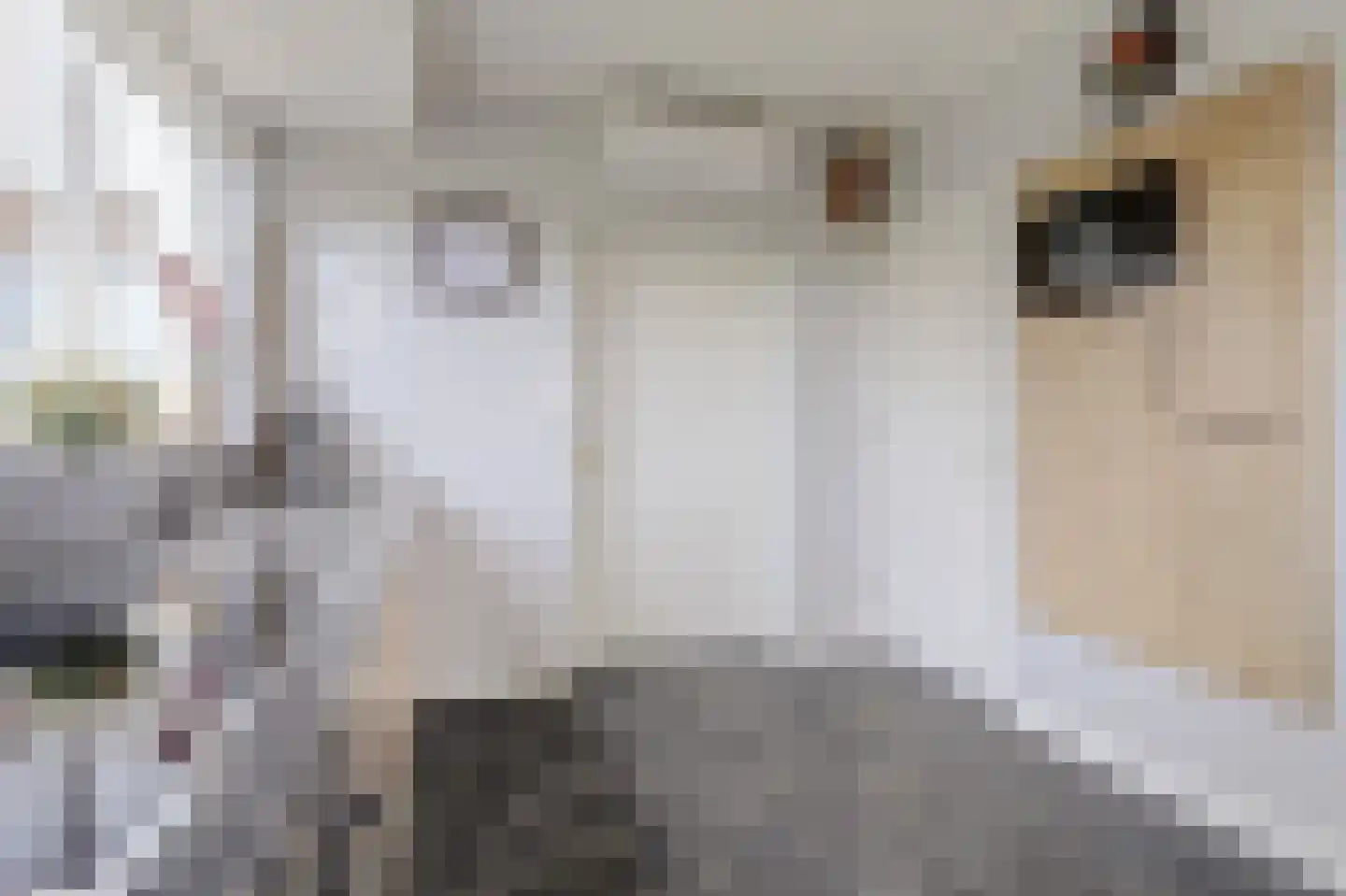 Overheicop 38 Schoonrewoerd thumbnail 17
