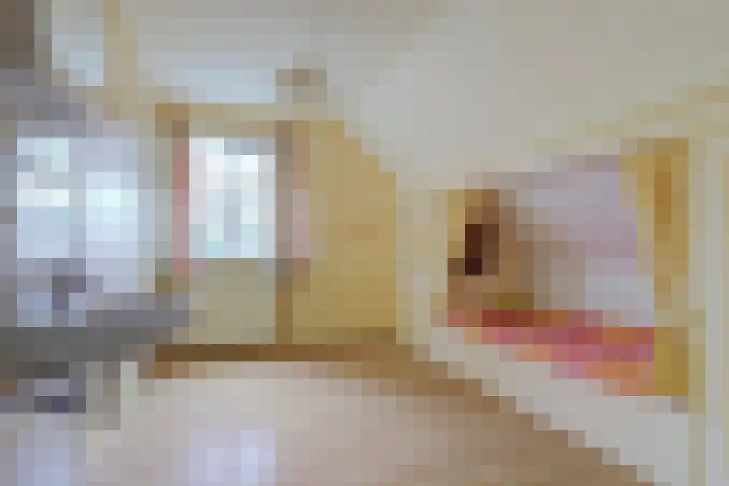 Overheicop 38 Schoonrewoerd thumbnail 34