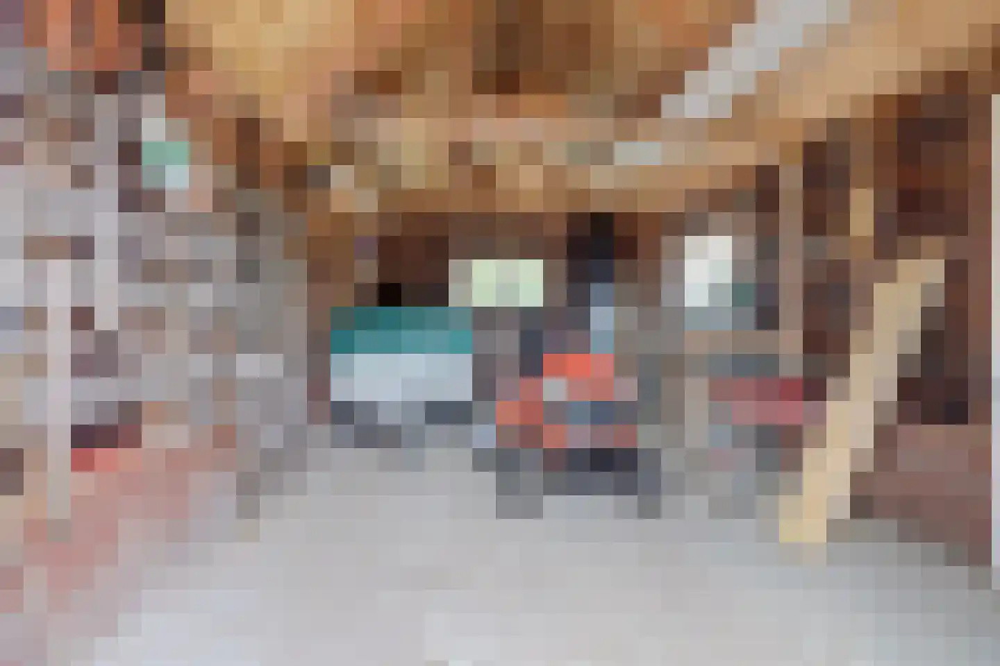 Overheicop 38 Schoonrewoerd thumbnail 44
