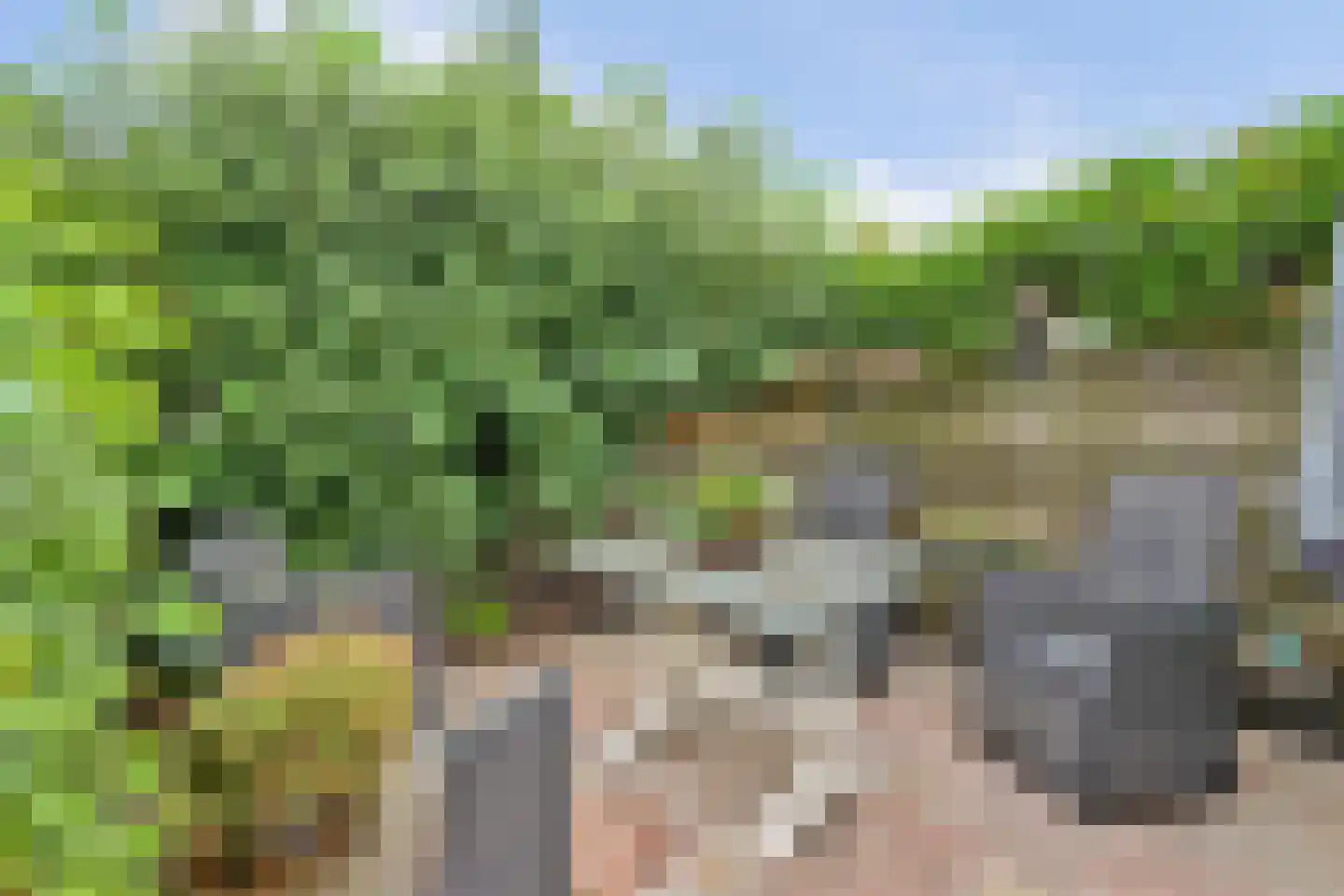 Overheicop 38 Schoonrewoerd thumbnail 50