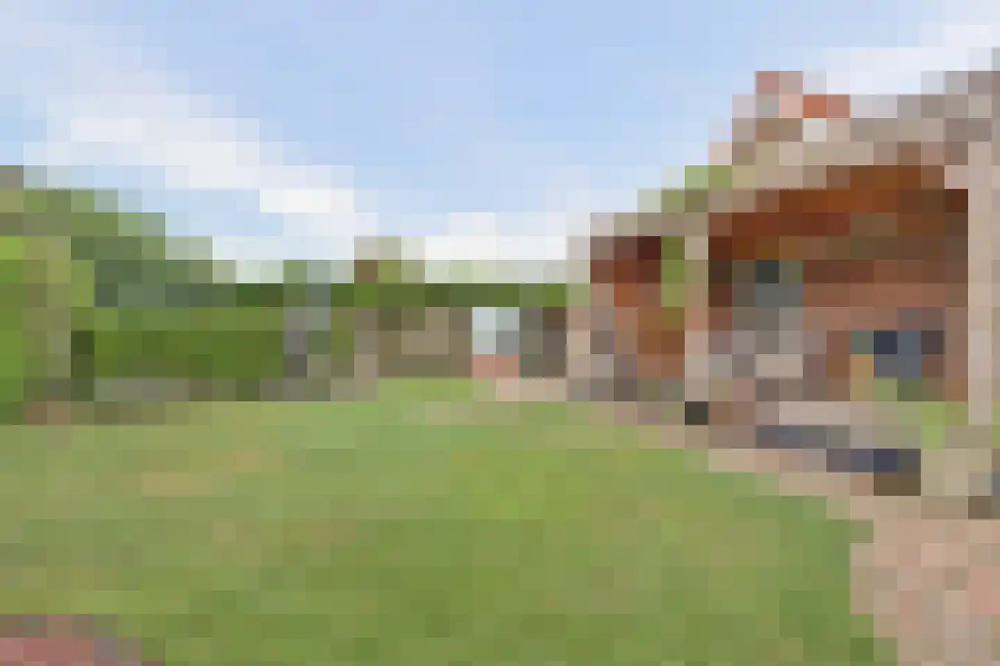 Overheicop 38 Schoonrewoerd thumbnail 51