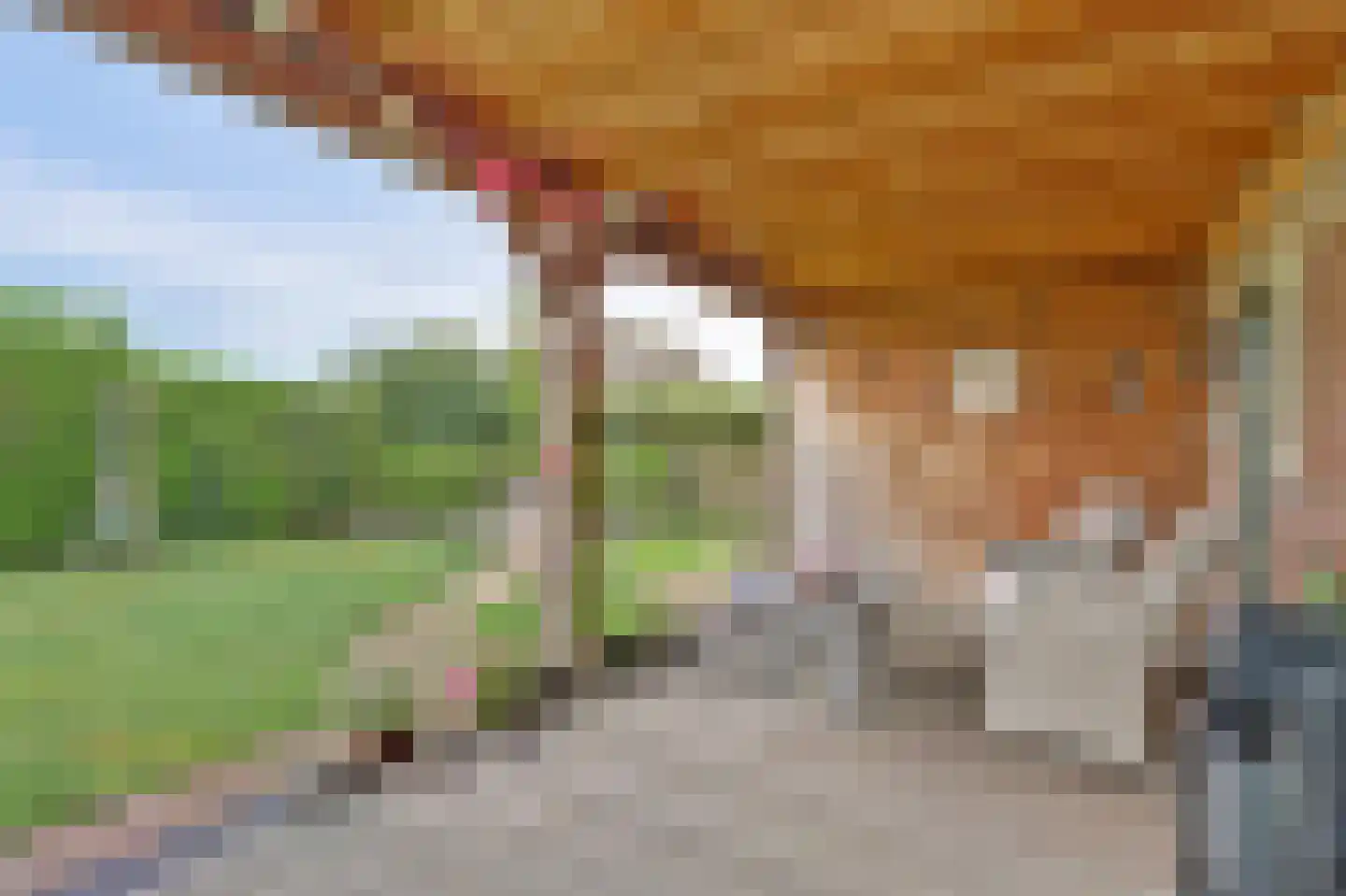 Overheicop 38 Schoonrewoerd thumbnail 53