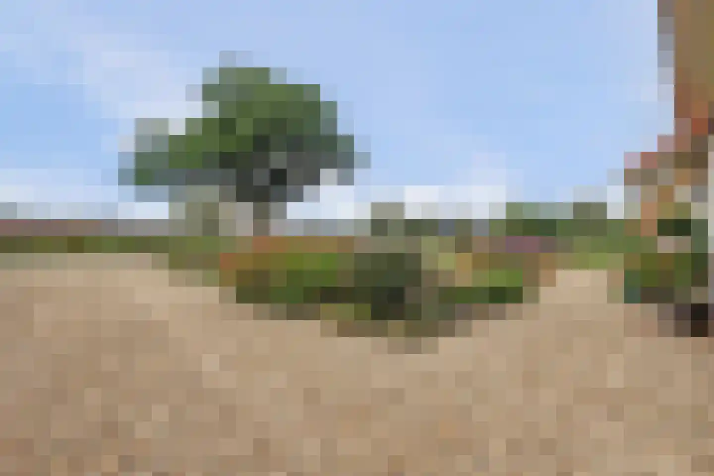 Overheicop 38 Schoonrewoerd thumbnail 54