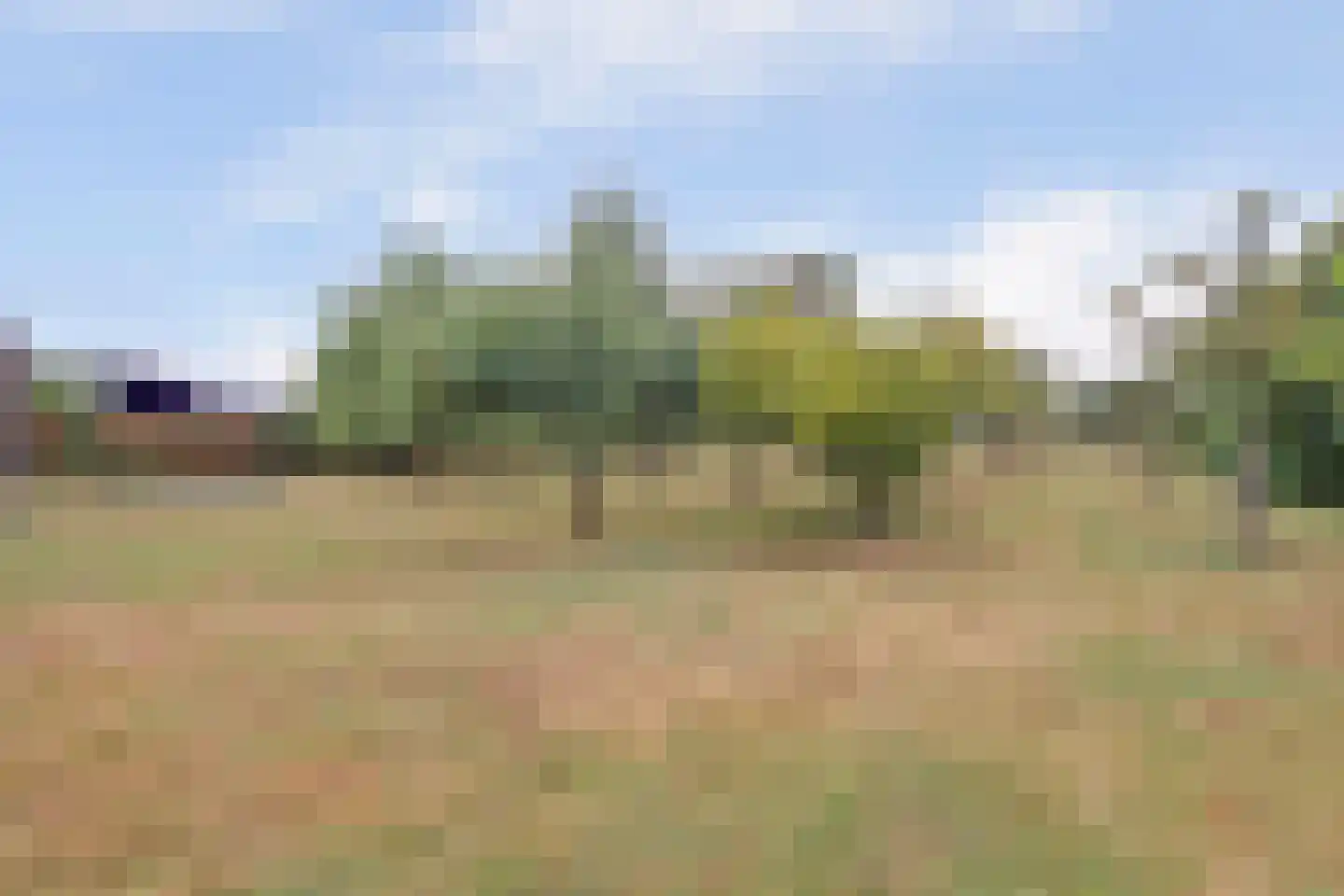 Overheicop 38 Schoonrewoerd thumbnail 56