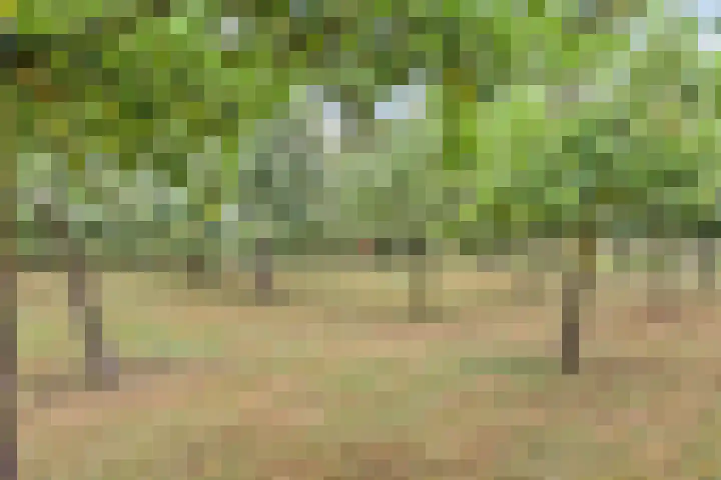Overheicop 38 Schoonrewoerd thumbnail 57