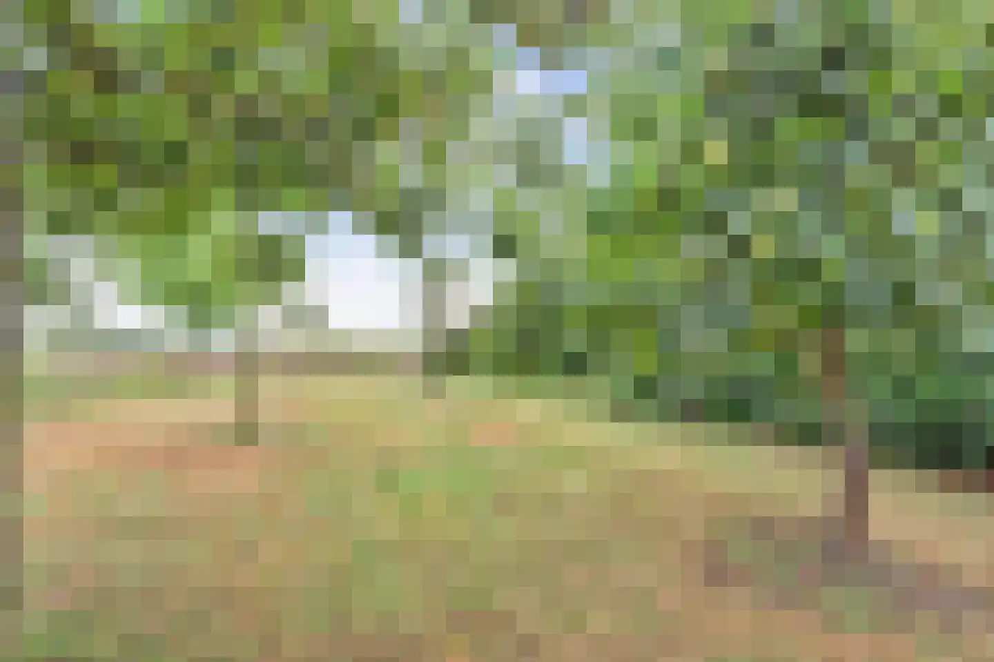 Overheicop 38 Schoonrewoerd thumbnail 58