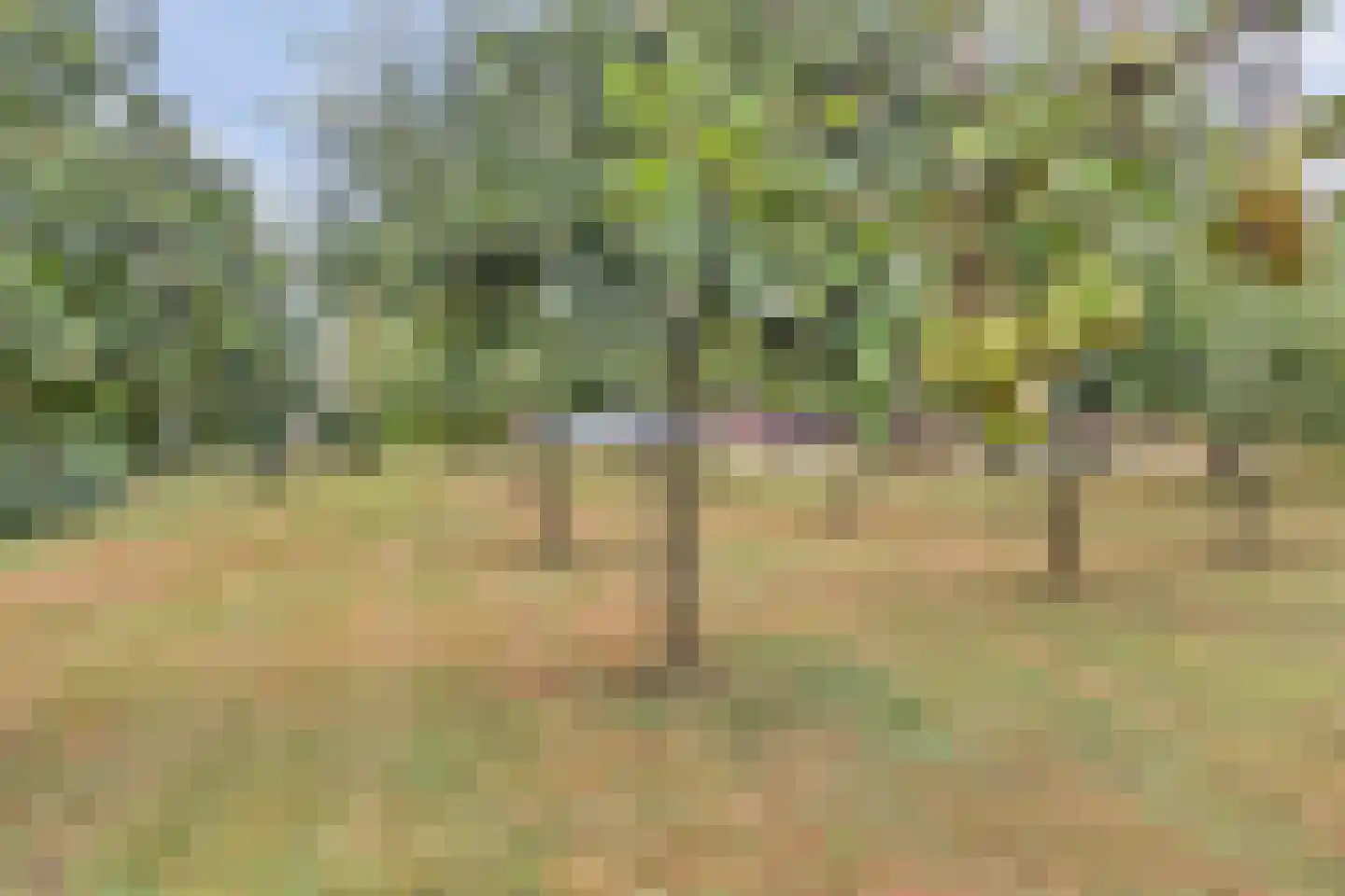Overheicop 38 Schoonrewoerd thumbnail 59