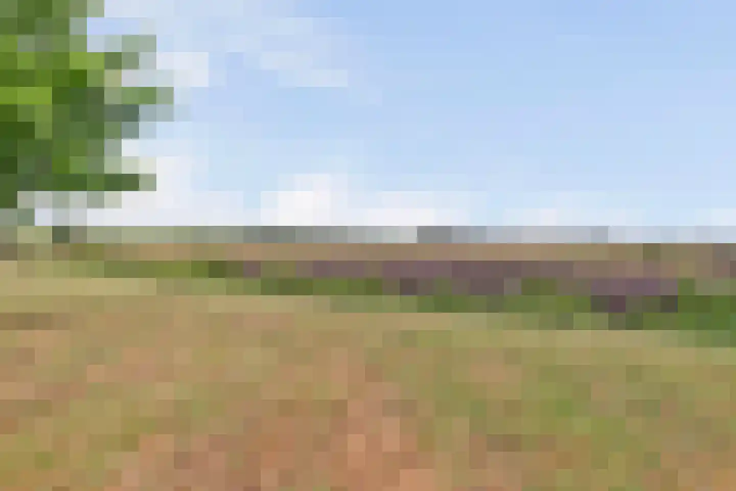 Overheicop 38 Schoonrewoerd thumbnail 60