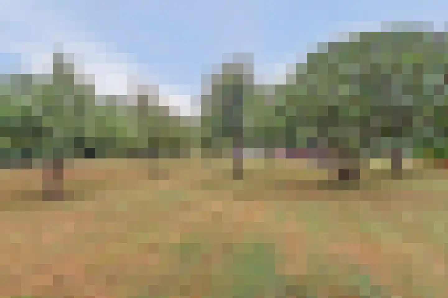 Overheicop 38 Schoonrewoerd thumbnail 61