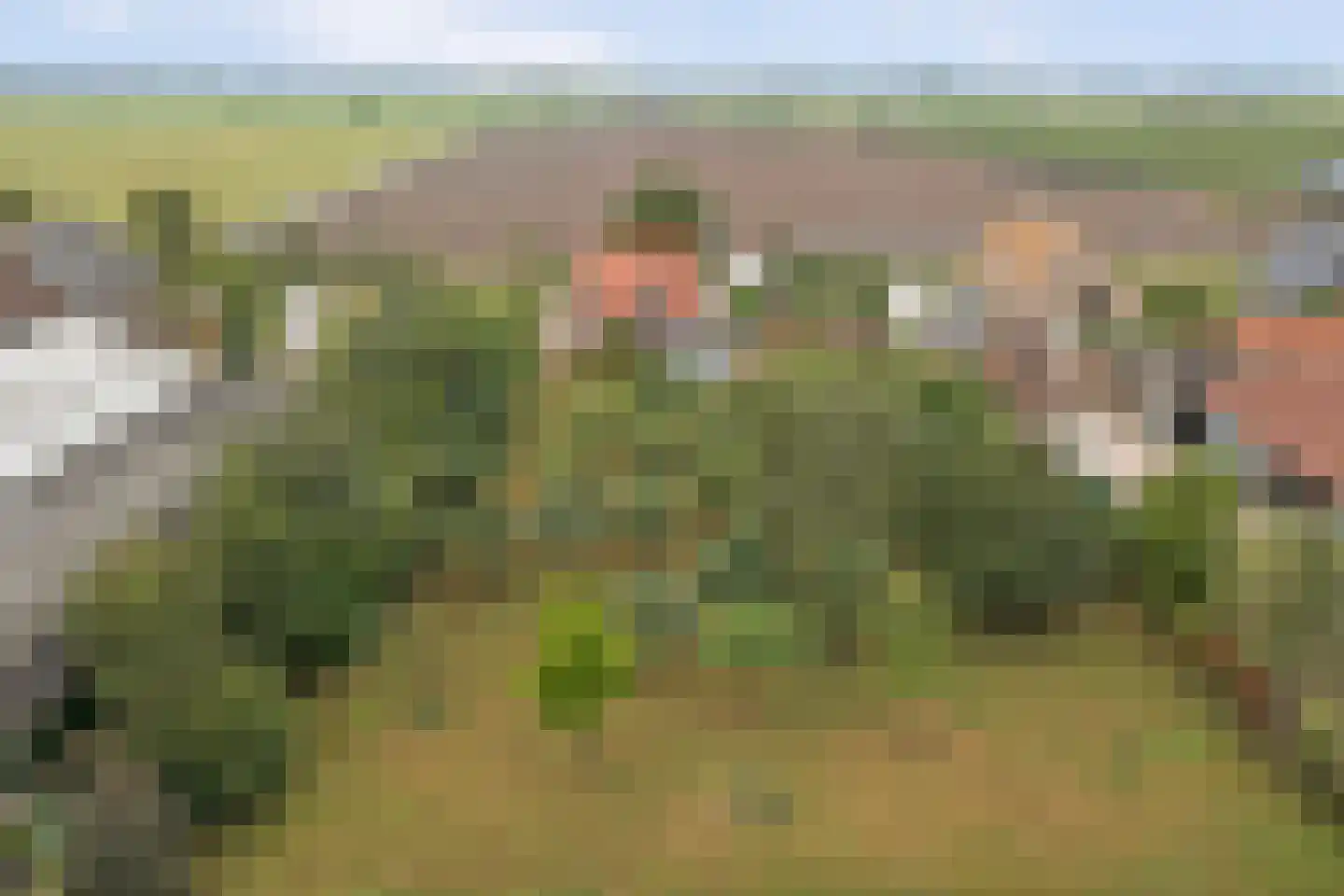 Overheicop 38 Schoonrewoerd thumbnail 62