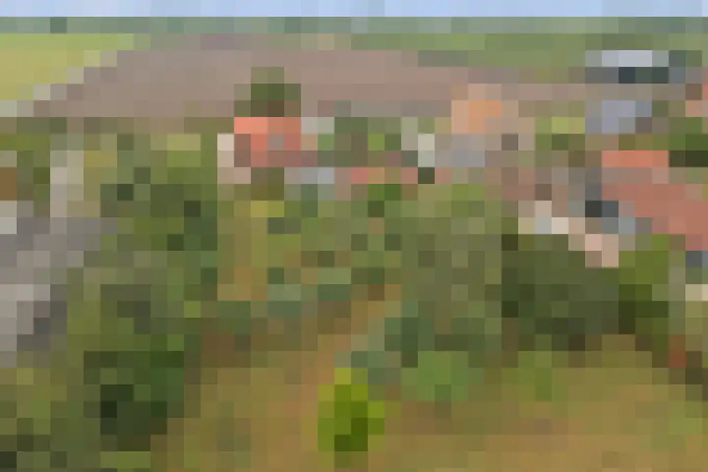 Overheicop 38 Schoonrewoerd thumbnail 63