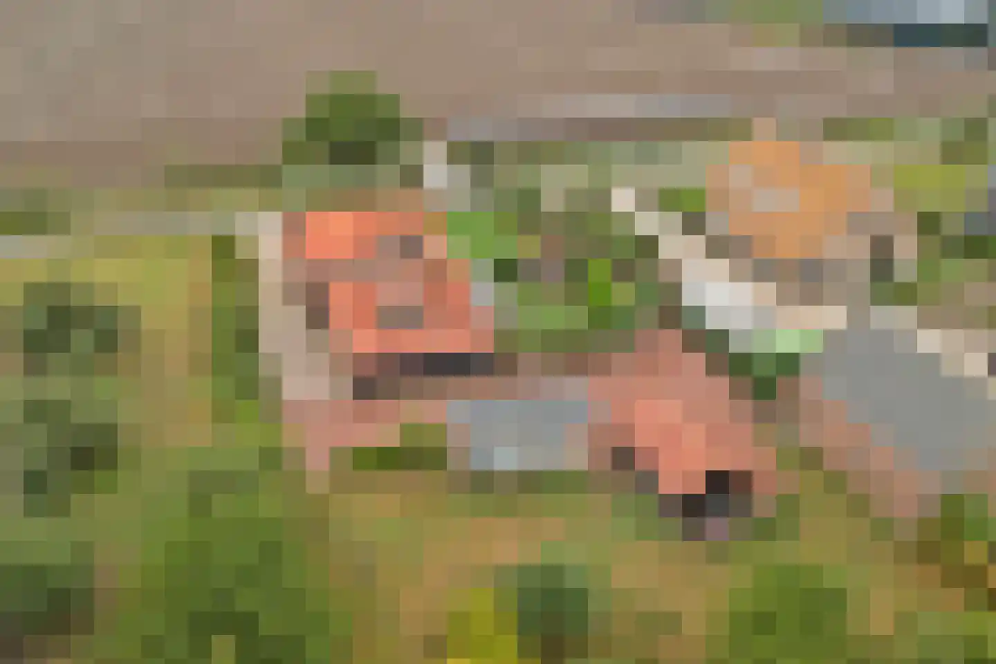 Overheicop 38 Schoonrewoerd thumbnail 64