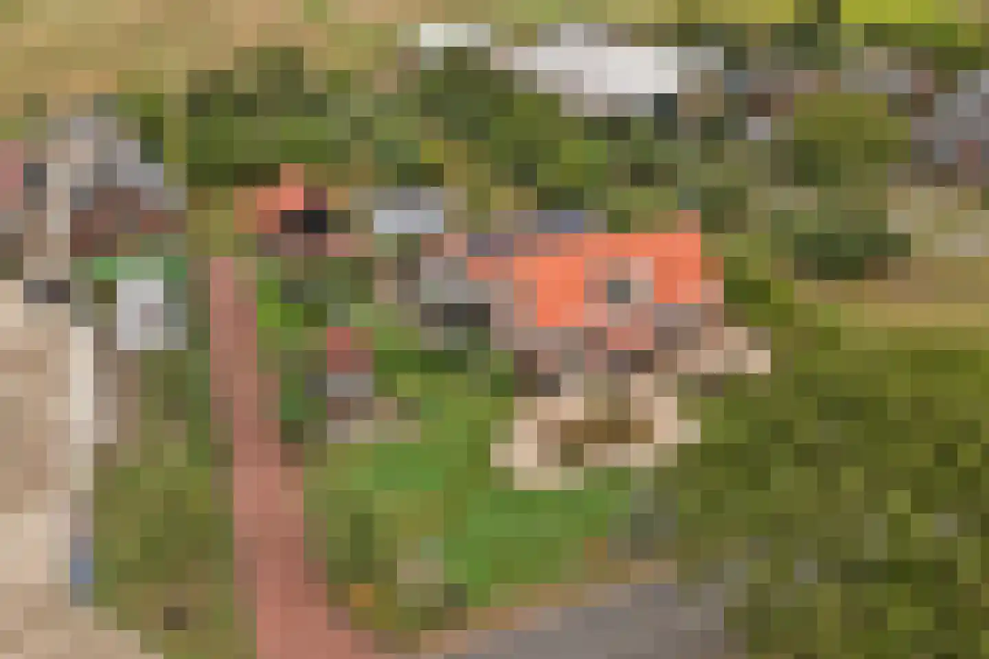 Overheicop 38 Schoonrewoerd thumbnail 65