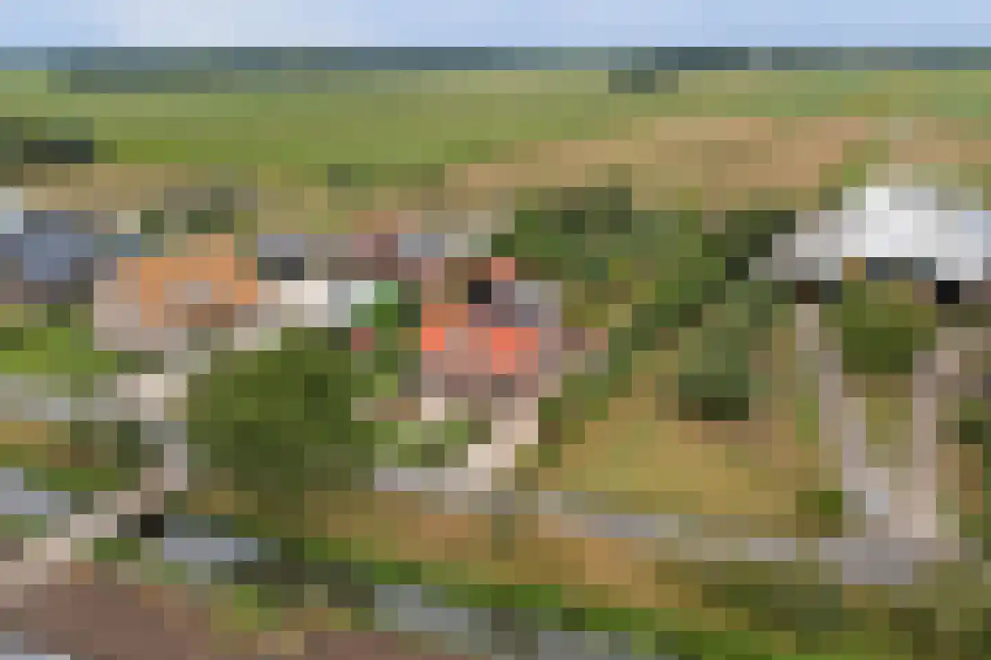Overheicop 38 Schoonrewoerd thumbnail 66