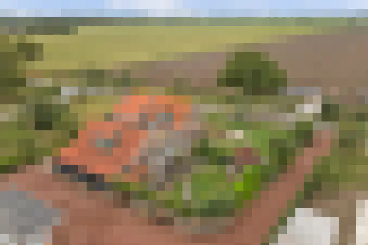 Overheicop 38 Schoonrewoerd thumbnail 67