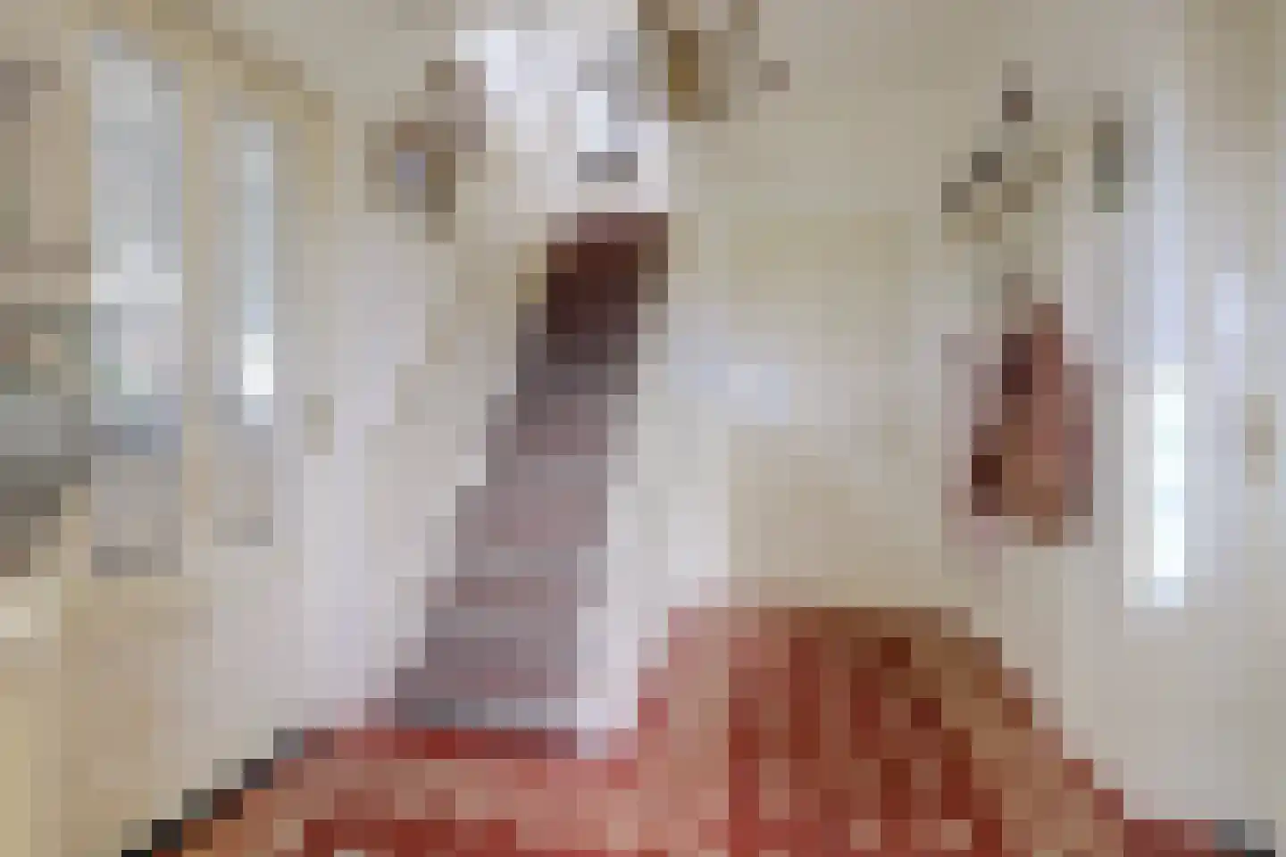 Overheicop 38 Schoonrewoerd thumbnail 9