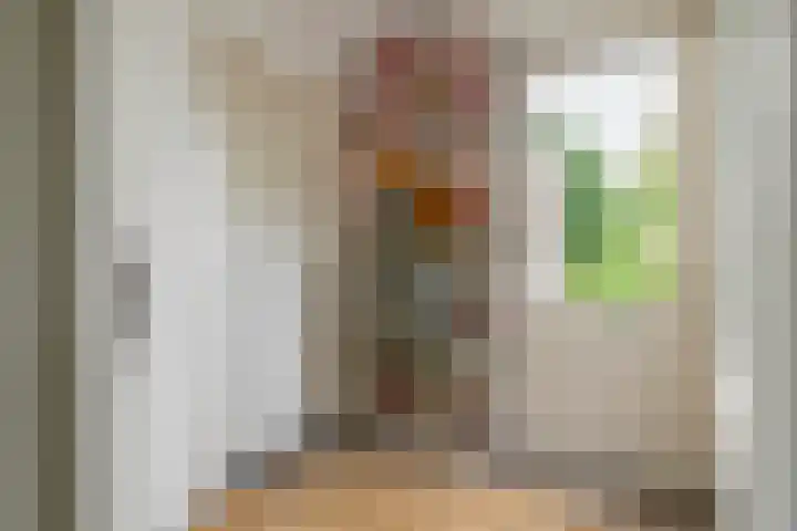 Overheicop 68 b Schoonrewoerd thumbnail 21