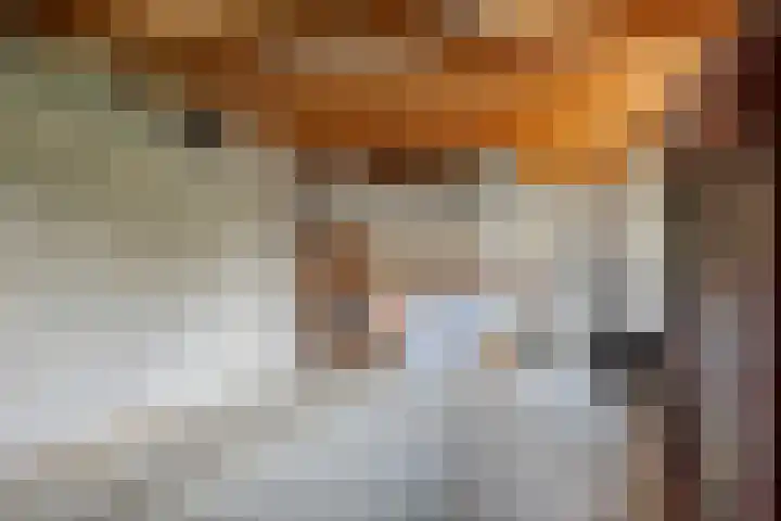 Overheicop 68 b Schoonrewoerd thumbnail 22