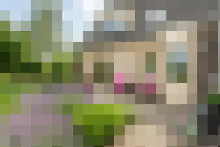 Overheicop 68 b Schoonrewoerd thumbnail 24