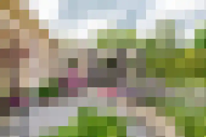 Overheicop 68 b Schoonrewoerd thumbnail 25