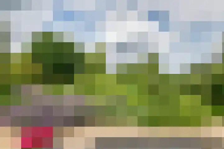 Overheicop 68 b Schoonrewoerd thumbnail 27