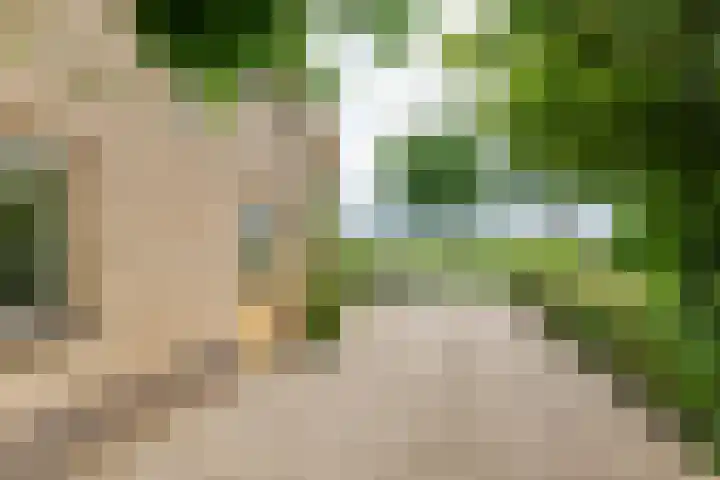 Overheicop 68 b Schoonrewoerd thumbnail 28