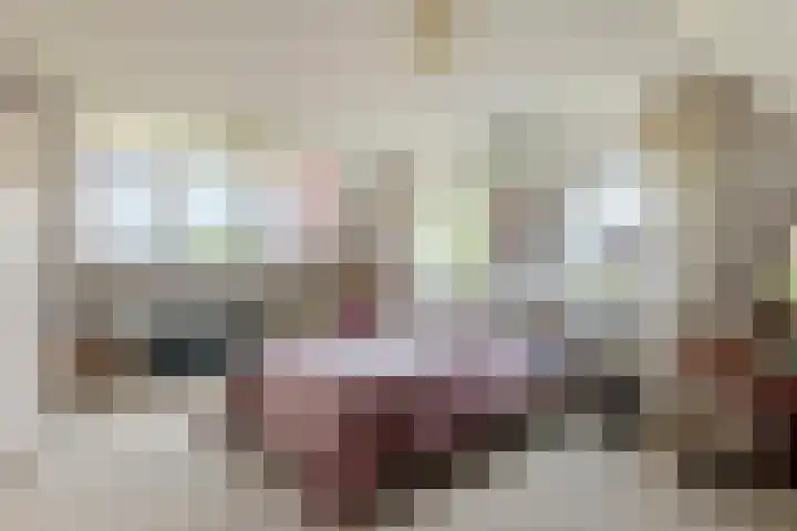 Overheicop 68 b Schoonrewoerd thumbnail 38