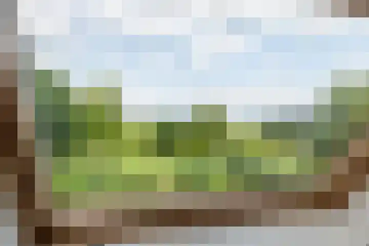 Overheicop 68 b Schoonrewoerd thumbnail 41